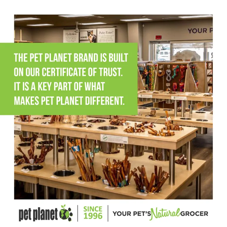 FranchiseHub_CofT-1to1-Visuals-01