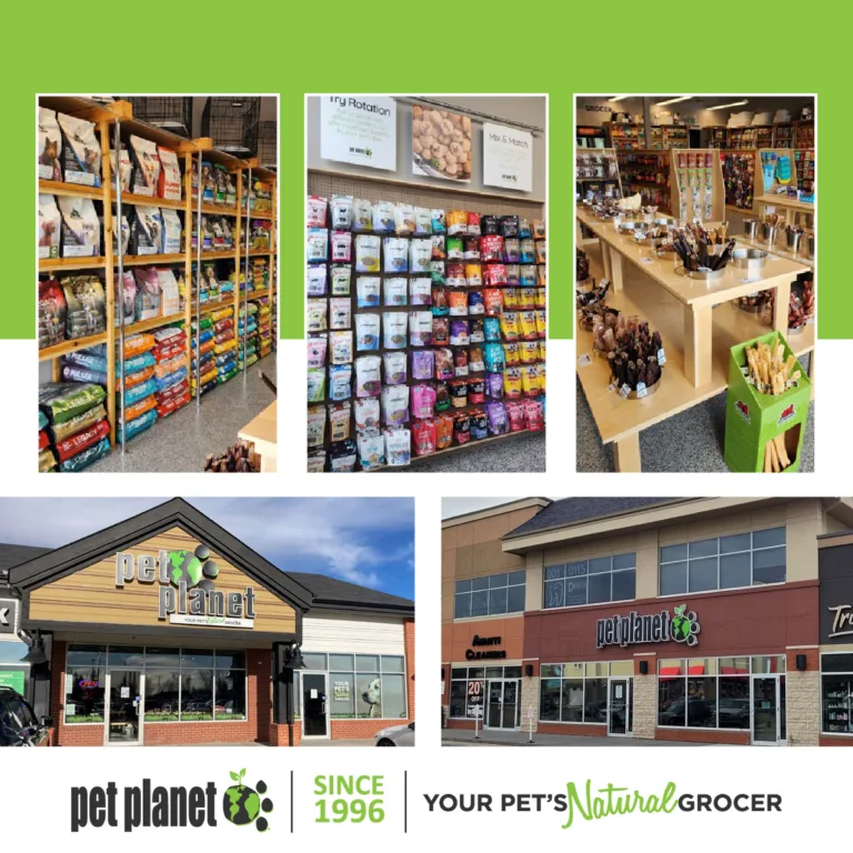 FranchiseHub_WhyPP-1to1-Visuals-02